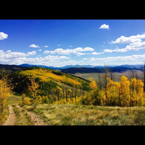 Meet your Posher, Heather - Picture 1 of 1